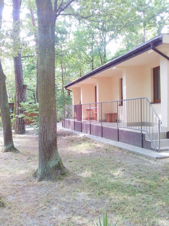 Курортний комплекс Osrodek Wypoczynkowy Forest