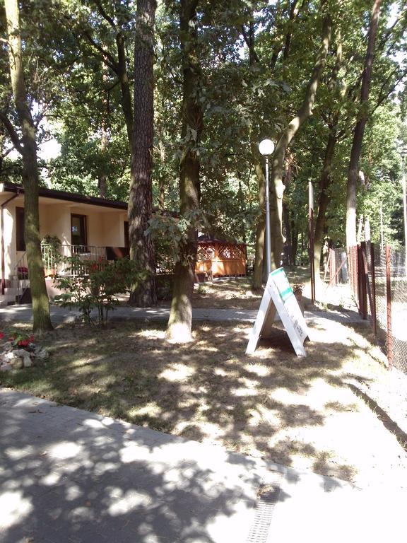Курортний комплекс Osrodek Wypoczynkowy Forest 2*